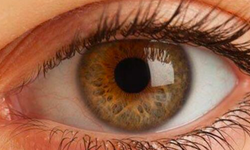 Romatizmal hastalıklar göz sağlığını da etkileyebilir
