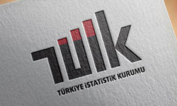 TÜİK: Temmuzda En Yüksek Reel Getiriyi BIST 100 Sağladı