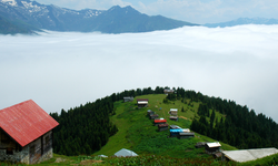 Pokut Yaylası'nın Özellikleri Nelerdir? 