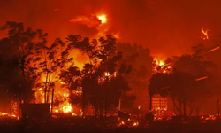 Yunanistan’daki orman yangınlarında 18 kişinin cesedi bulundu