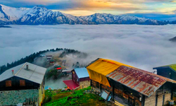 Pokut Yaylası'nın Tarihi