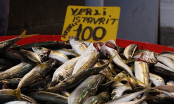 Balık Avı Başladı, İstavritin Fiyatı Yarıya DDüştü