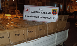 Samsun'da 2,5 Ton Sahte Yumuşatıcı ve Sinek İlacı Ele Geçirildi