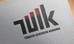 TÜİK, Dış Ticaret Endekslerini Açıkladı 
