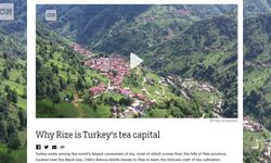 CNN, Rize'deki Çay Tarımını Ele Aldı