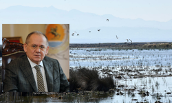 Kızılırmak Deltası Kuş Cenneti, Türkiye'nin Doğal Zenginliğinin Kalbi