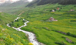 Sivrikaya Yaylası Doğal Bir Cennet Sunuyor