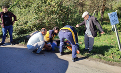 Akrabasının Cenazesine Giderken Otomobilin Çarpmasıyla Öldü