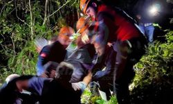 Rize'de Kestane Toplarken Kaybolan Yaşlı Adama 3 Saatte Ulaşıldı