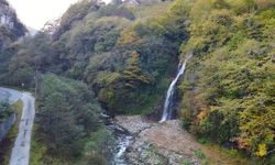 Karadeniz Ormanlarında Sonbahar Güzelliği