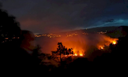 Trabzon'da Orman Yangını; 100 Dönüm Alan Yandı, Yağmur Büyümesini Önledi