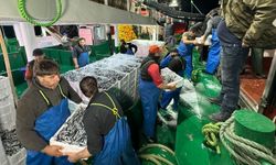 Bartın'da Balıkçılar, 300 Ton Hamsiyle Döndü