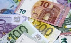 17 Ocak Güncel Euro Fiyatları