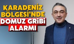 Karadeniz Bölgesi'nde Domuz Gribi Alarmı