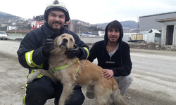 Yangında Mahsur Kalan Köpeği İtfaiyeciler Kurtardı