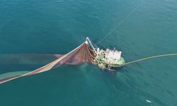Karadeniz'de Balık Türleri Azalıyor