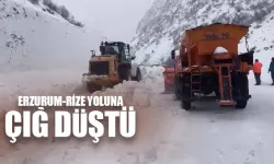 Erzurum-Rize Karayoluna Çığ Düştü