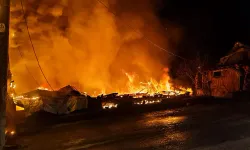 Evinde Uyurken Çıkan Yangında Hayatını Kaybetti