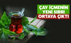 Çay İçmenin Yeni Sırrı Ortaya Çıktı