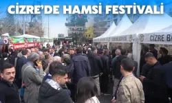 Cizre’de Hamsi Festivali Düzenleniyor