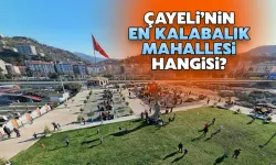 Çayeli'nin En Kalabalık Mahallesi Hangisi?