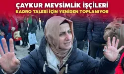 ÇAYKUR Mevsimlik İşçileri Kadro Talebi İçin Toplanıyor