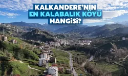 Kalkandere'nin En Kalabalık Köyü Belli Oldu