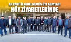 AK Parti Rize İl Genel Meclis Üye Adayları Köy Ziyaretlerinde
