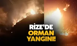 Rize'de Orman Yangını: 10 Dönüm Arazi Zarar Gördü 