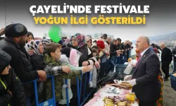 Çayeli’nde Hamsi Festivali Yoğun İlgi Gördü