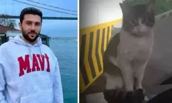 Eros isimli kediyi vahşice öldüren zanlı serbest bırakıldı