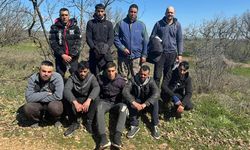 Edirne’de 9 Kaçak Göçmen Yakalandı