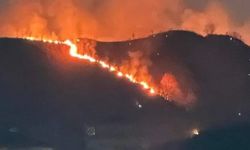 Trabzon'da Orman Yangını