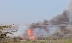 Çankırı’da Orman Yangını
