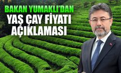 Bakan Yumaklı'dan Yaş Çay Fiyatı Açıklaması