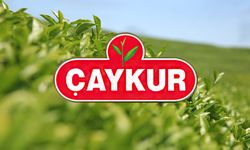 ÇAYKUR Kura Sonuçları | Sürmene Çay Fabrikası