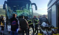 Faciadan Dönüldü: Otobüs Tıra Arkadan Çarptı