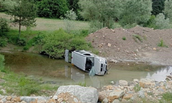 Yoldan Çıkan Kamyonet Çaya Uçtu: 1 Yaralı