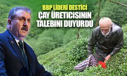 BBP Lideri Destici, Çay Üreticisinin Talebini Duyurdu