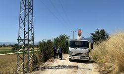 Trafodan Çıkan Kıvılcımlar Arpa Ekili Tarlayı Yaktı