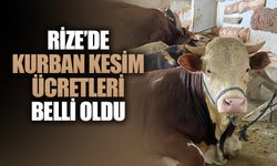 Rize’de Kurban Kesim Ücretleri Belli Oldu