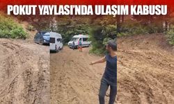 Pokut Yaylası'nda Ulaşım Kabusu!