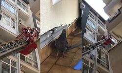 Rize'de Çamaşır İpine Takılan Güvercini İtfaiye Kurtardı