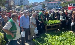 Rize'de vatandaşlara 40 bin sebze fidanı dağıtıldı