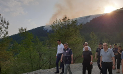 Sinop’taki Orman Yangını Kontrol Altına Alındı