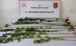 Zonguldak'ta Jandarmadan Uyuşturucu Operasyonu