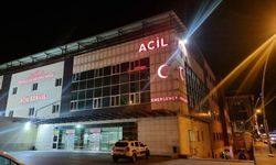 Çocuk Kavgasında Anne Ve 2 Oğlu Hayatını Kaybetti