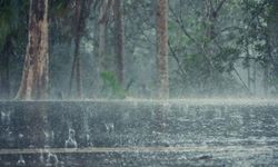 Meteoroloji’den Doğu Karadeniz İçin Kuvvetli Sağanak Uyarısı