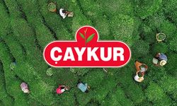 ÇAYKUR, Ödemeleri Alan Bazlı Yapacak