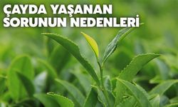 Çayda Yaşanan Sorunun Nedenleri